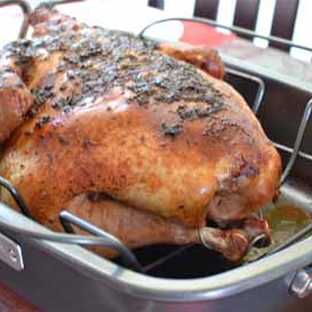 Thanksgiving Turkey