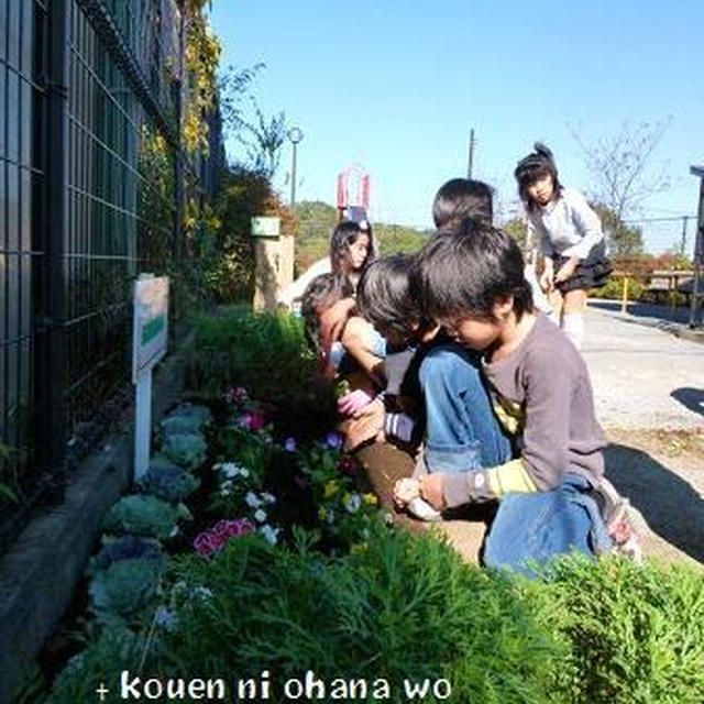 【 公園にお花を植えましょぅ・子供ﾎﾞﾗﾝﾃｨｱの活動 13’秋 】
