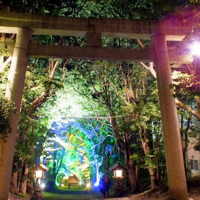 夜のー♪釧路は～♪の話