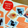 Happy New Year！！