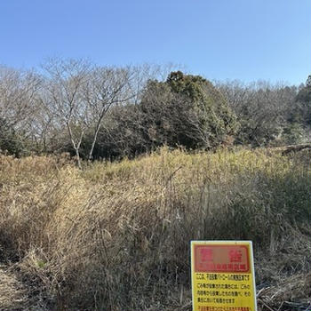 土地を国庫帰属に