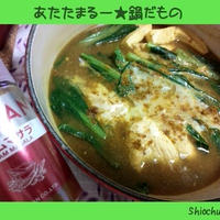 ささっとカレー鍋★