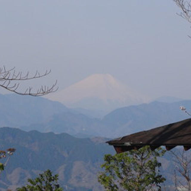 山スキーの準備で高尾山ハイク