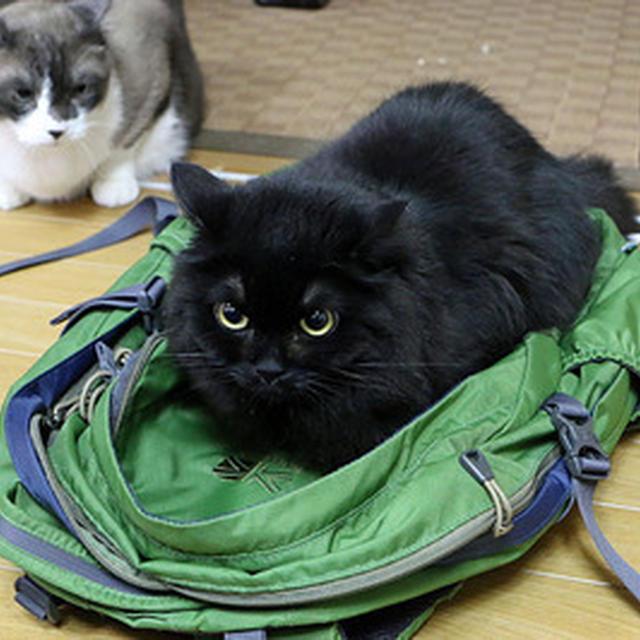 部屋の模様替えぇ〜