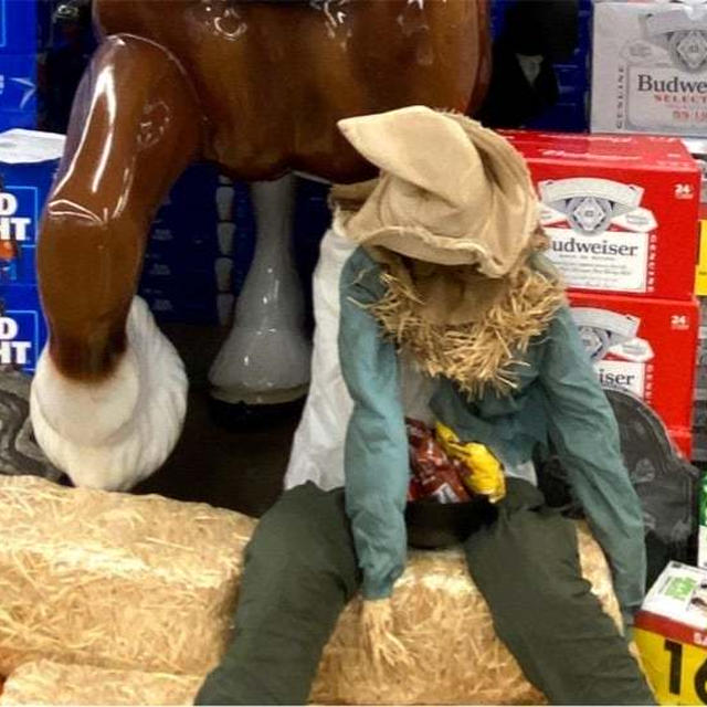 さすがアメリカ！スーパーの巨大な馬