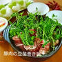 低糖質♪ひたすら豚肉の豆苗巻き
