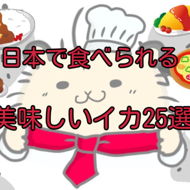 【いくつ知ってる？】日本で食べられる美味しいイカ13選！釣れる時期や美味しい食べ方は？