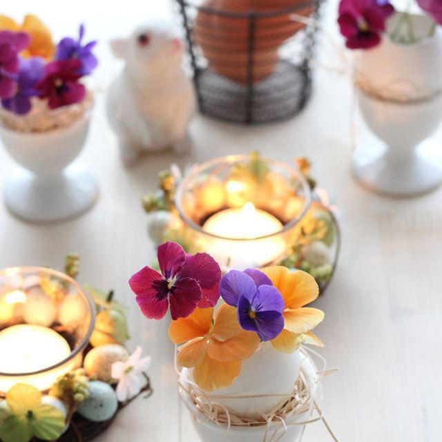 Ｈａｐｐｙ　Ｅａｓｔｅｒ！