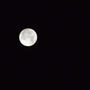 寝る前に月を眺めて。