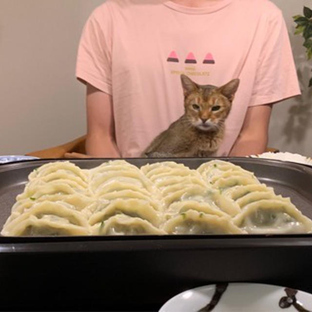 ホットプレート餃子の夜ごはん
