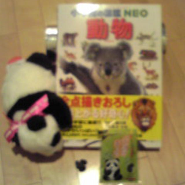 上野動物園のお土産～パンダの鼻くそと動物図鑑～