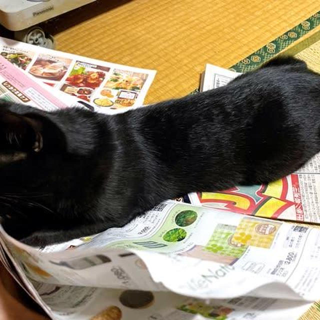 紙食い男ブラックジャック参上！！