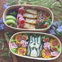 スイカ柄Abema君弁当～祝☆アメブロ開始一周年！～