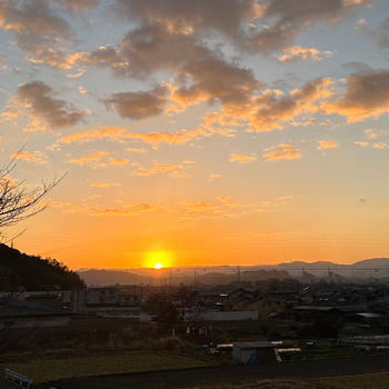 初日の出/りんごフィナンシェ