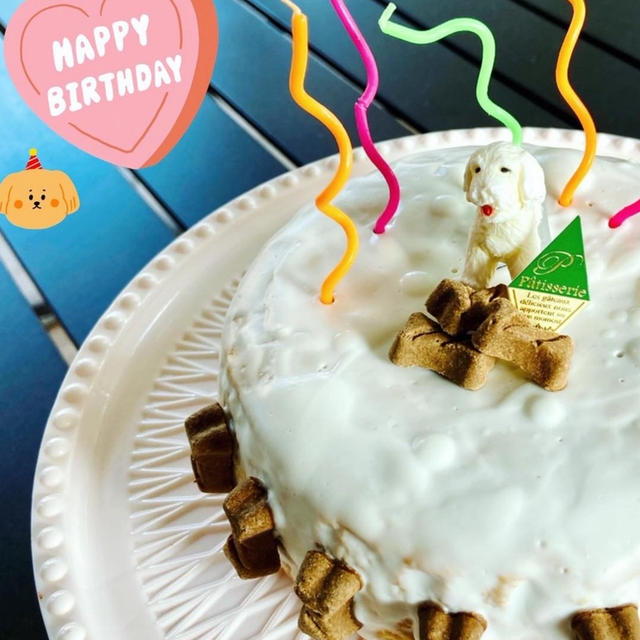わんこのお誕生日