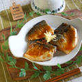 父の好きな♪さばの味噌煮＆新聞広告の誘惑