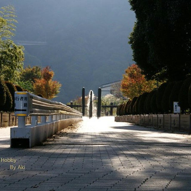 《日中スローシンクロ撮り》テストです。神奈川県立愛川公園にて。
