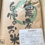 はじめファーム　熊本の山都町棚田で育てた無農薬無化学肥料米　送料込4490円5kg　LINEQP