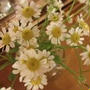 忙しい時期だからお花を買うよ