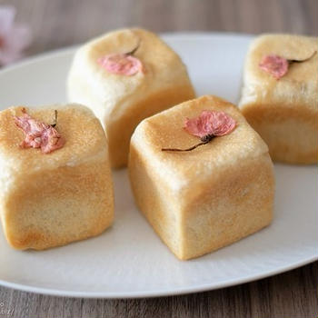 八重桜酵母のパンをもう少し「桜ちぎりパン」「桜キューブあんパン」