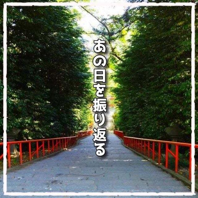 背中を押された日