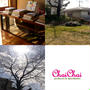 今日の『chai chai』
