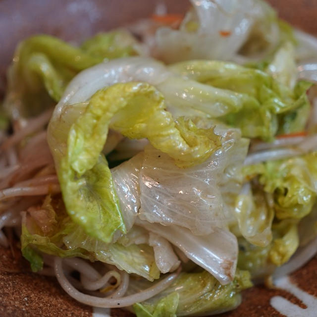 レタスがメインの、ふつうの野菜炒め