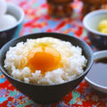 【草彅やすともの うさぎとかめ】卵かけご飯の作り方（25年6月8日放送）