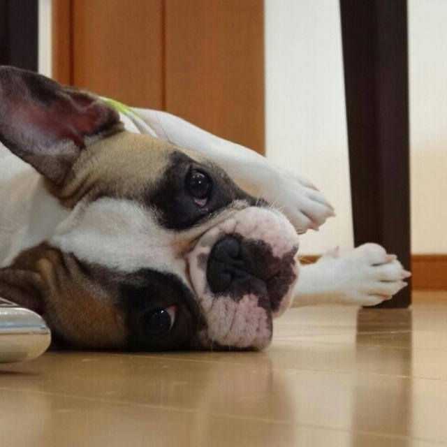 大晦日～◎