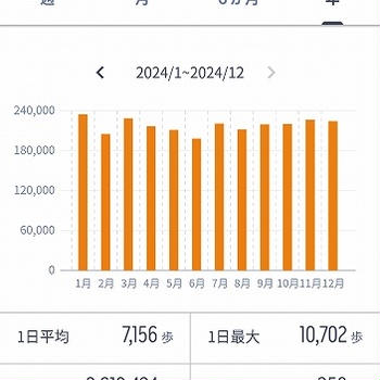 毎日５，０００歩を目標にウオーキング（２０２4年7月～12月）