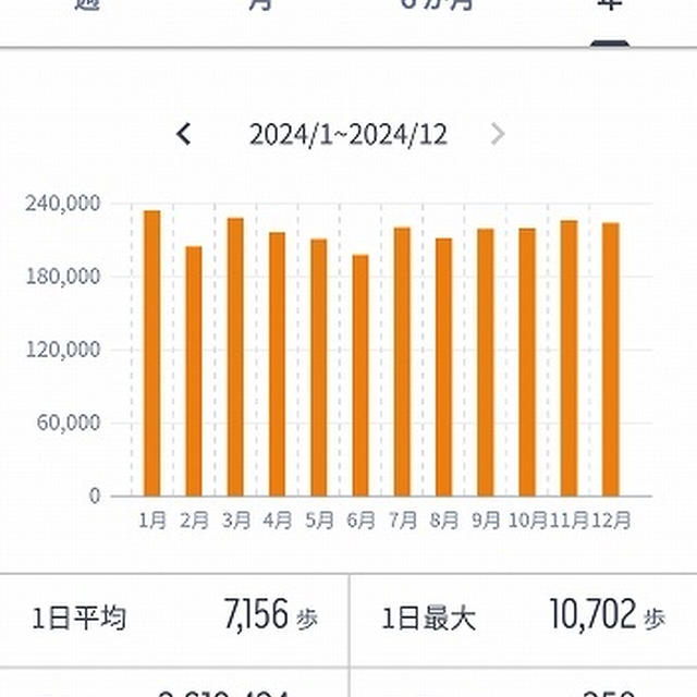 毎日５，０００歩を目標にウオーキング（２０２4年7月～12月）