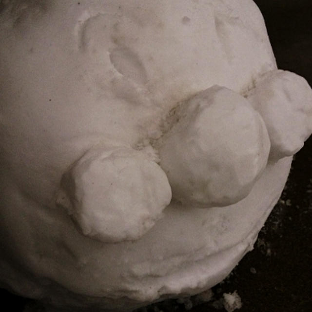 雪だるまの顔だけ