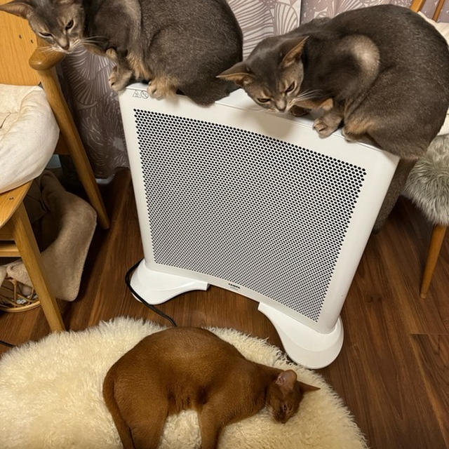 さらに混み合うヒーター