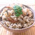 骨粗しょう症予防☆炊飯器で簡単に‼︎ひじきとイワシの甘辛炊き込みご飯♡レシピ