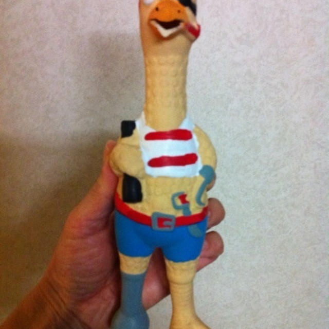 新しいおもちゃ