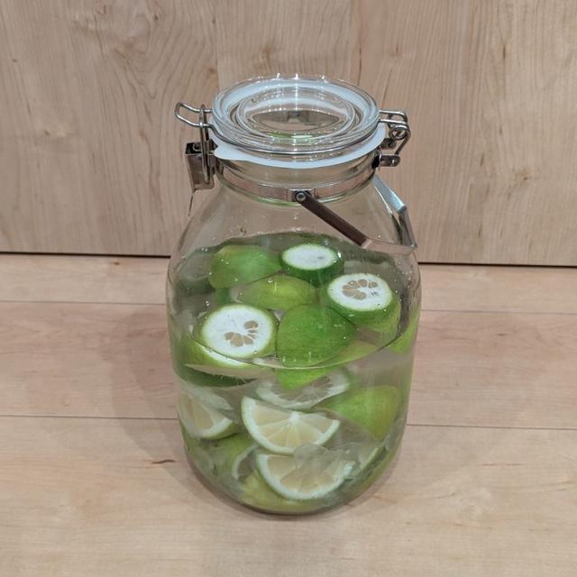 手作りレモン酒で自家製レモンサワーを作ろう！