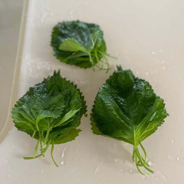 【食費節約】手軽にできる「しそ」の保存法3選
