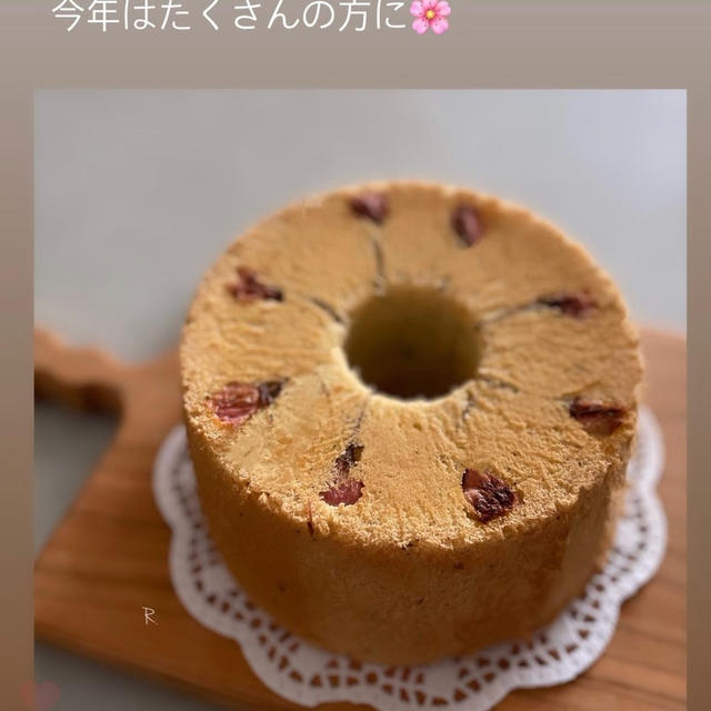 桜のシフォンケーキはじめました