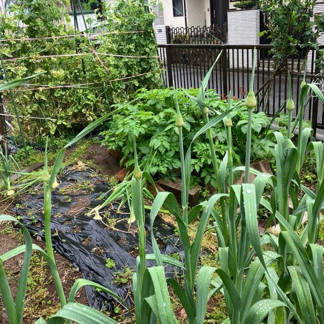 今日の幸せ♪