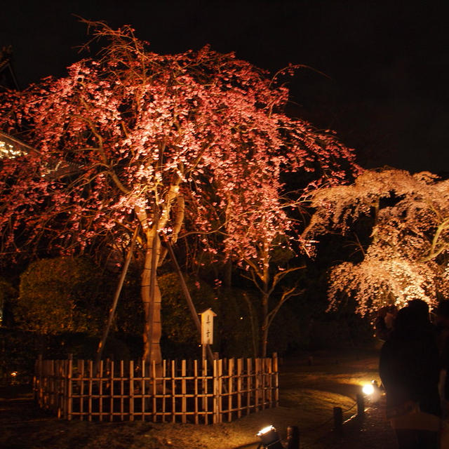 京都