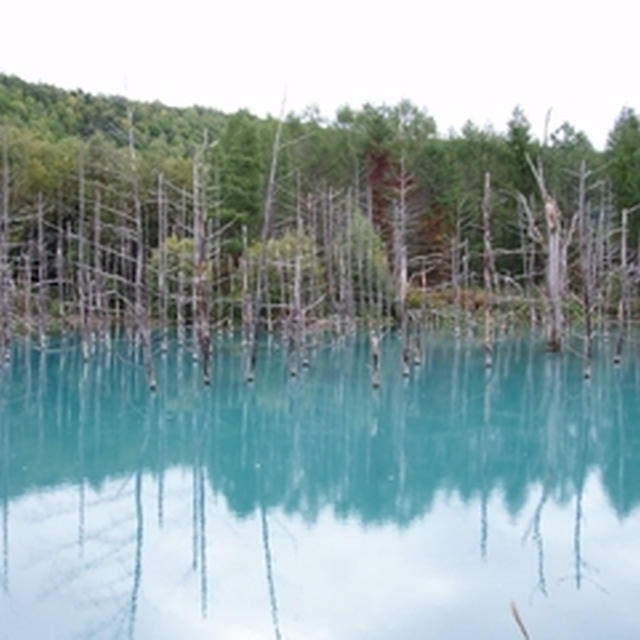 北海道旅行③