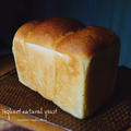 ”ヨーグルト酵母の食パン(ストレート法)”