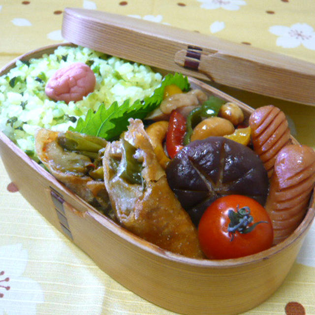 鶏肉とカシューナッツ炒めのお弁当☆+゜