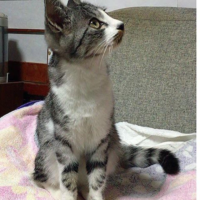 に、逃げてぇ〜！！