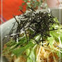 中華三昧で☆パッリパリ桜エビと水菜の涼麺☆