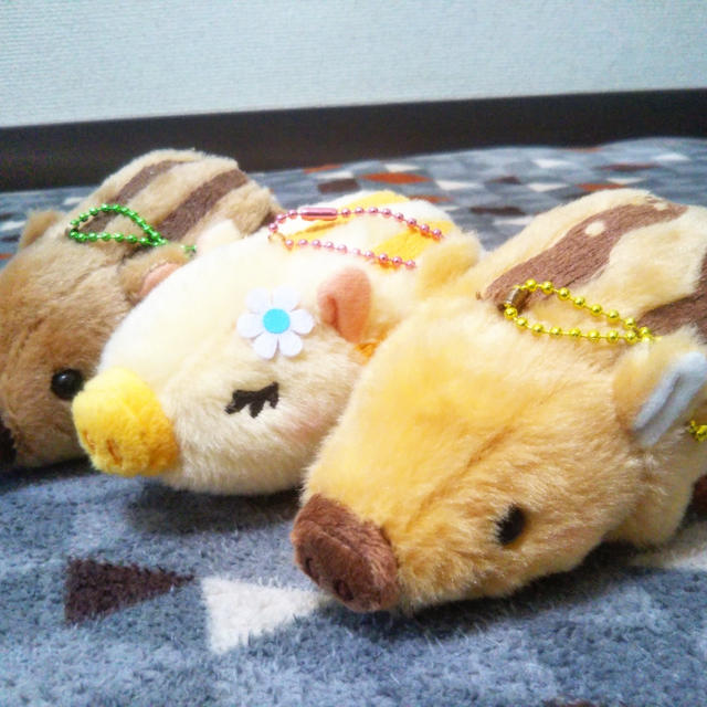 2019年☆あけましておめでとうございます☆