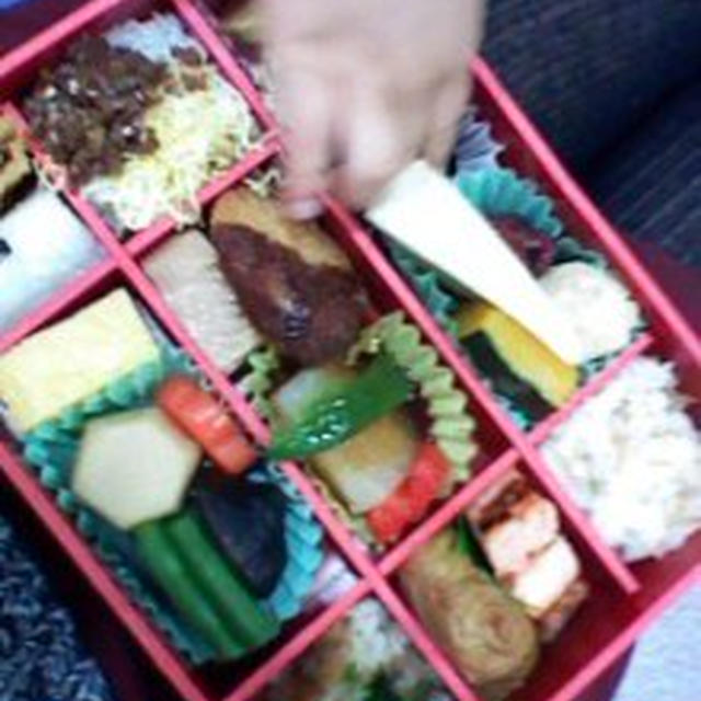 駅弁食べつつ～行ってきます！