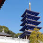 初詣、今年も始まりました!#初詣の好きなところ