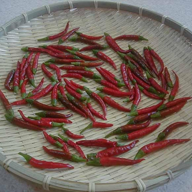 鷹の爪