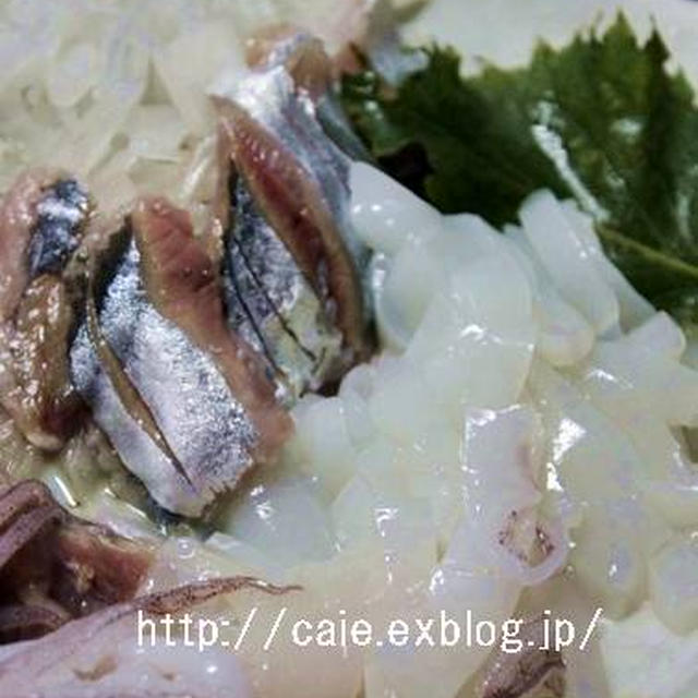 秋刀魚と赤いかの刺身・ネバとろ胡瓜